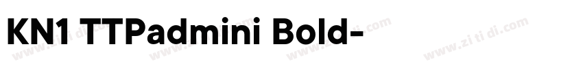 KN1 TTPadmini Bold字体转换